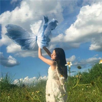 你是骗子我是贼